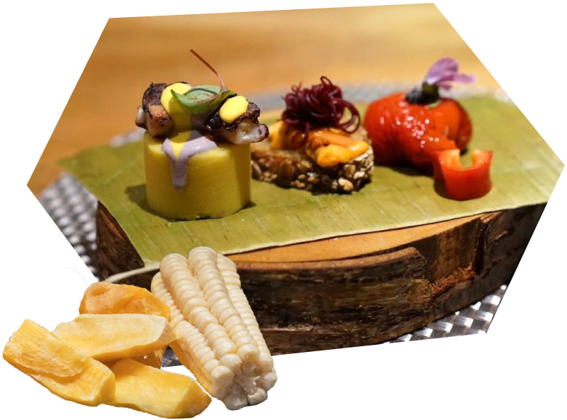 五感で味わうPes.の多国籍料理